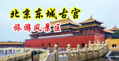 揉胸揉豆豆中国北京-东城古宫旅游风景区
